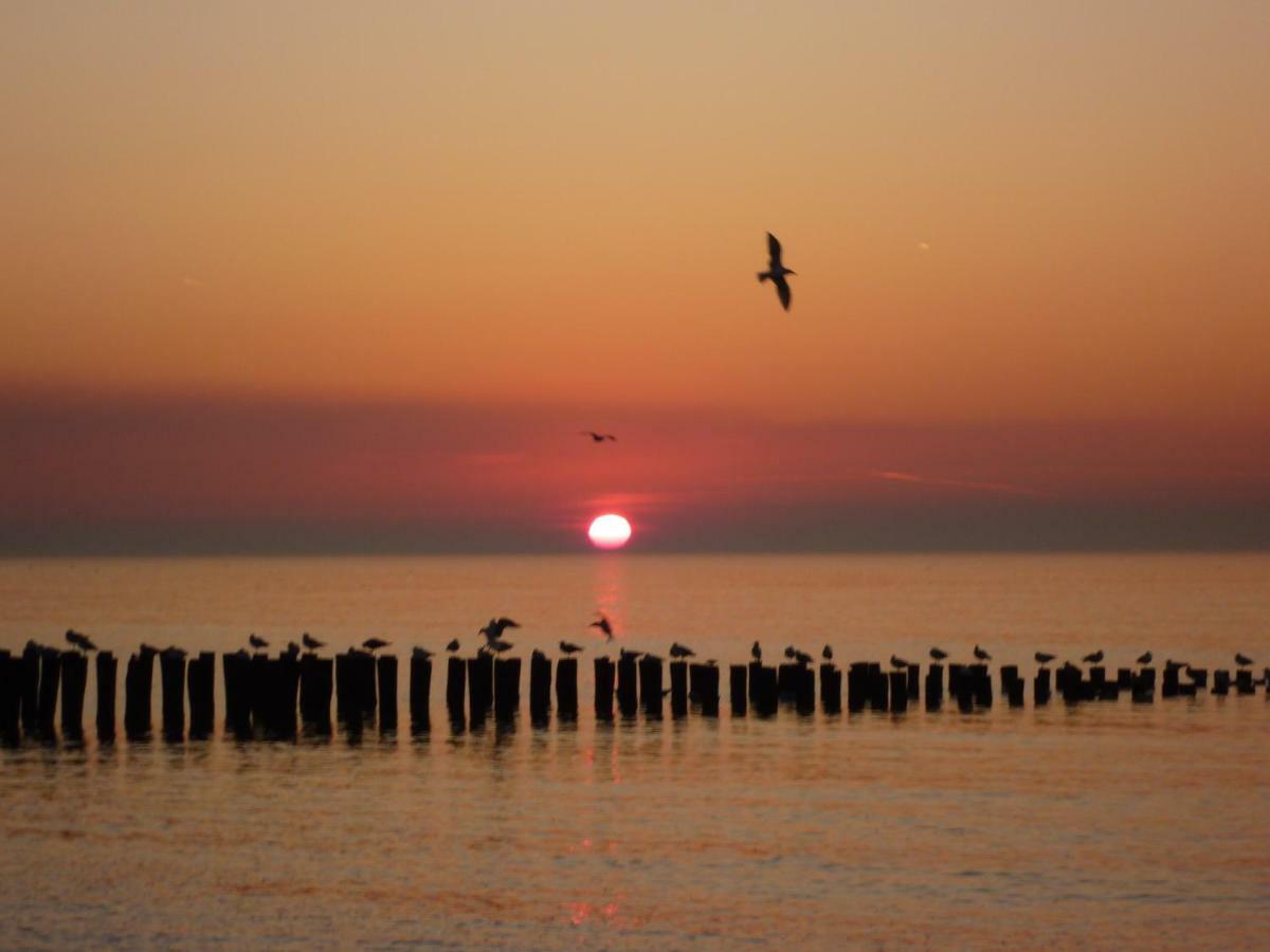Knusse Vakantiewoning Domburg Do04 외부 사진